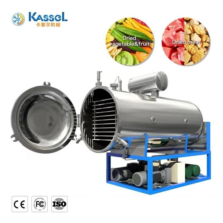 Vacuum Freeze Dryer manufacturers